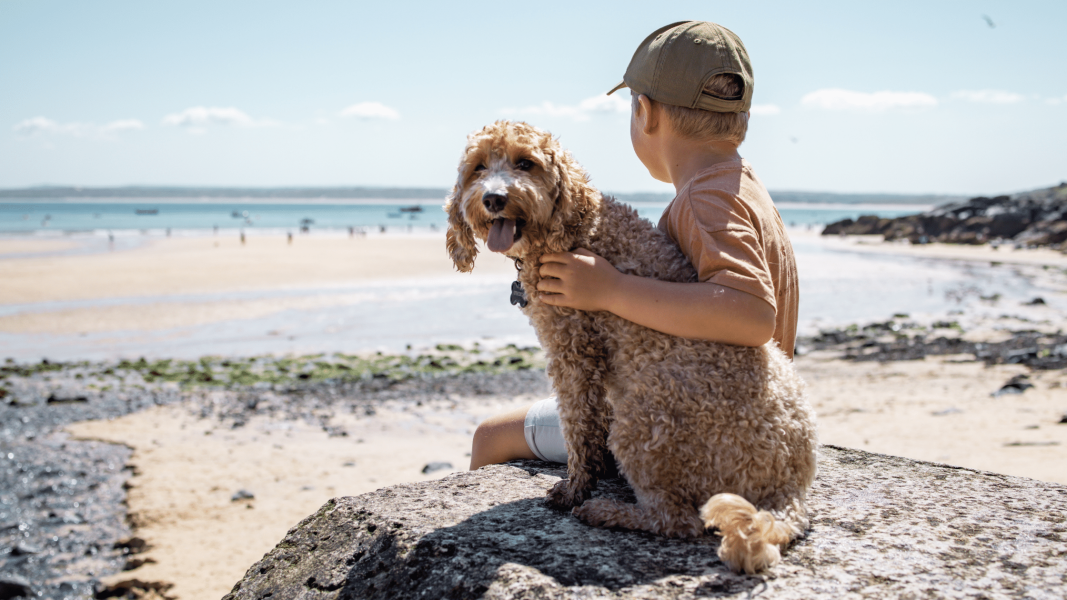 Young child enjoying the summer sun on the beach, with his furry best friend by his side.