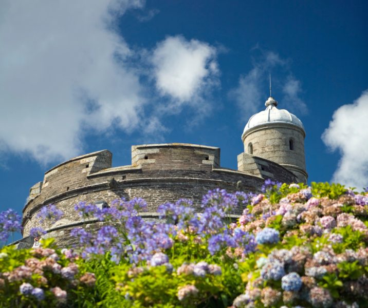 blue sky with white clouds above the tip of round castle wall and dome on the right, pink, blue and purple flowers and green foliage in the foreground. image of st mawes castle.