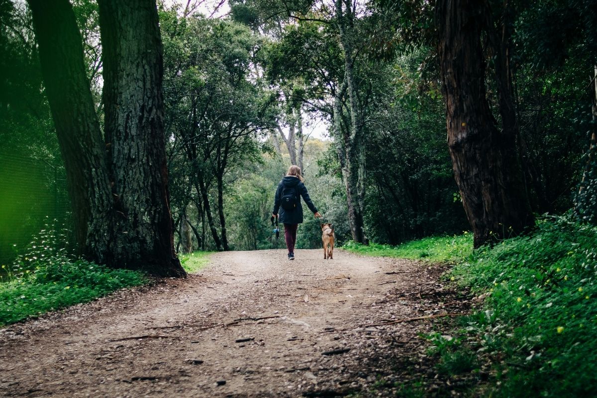 A Green Cornwall Itinerary | The Colours of Cornwall