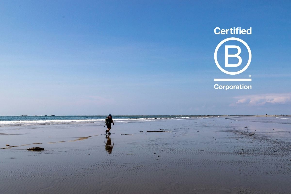 Celebrating 10 Years of B Corp