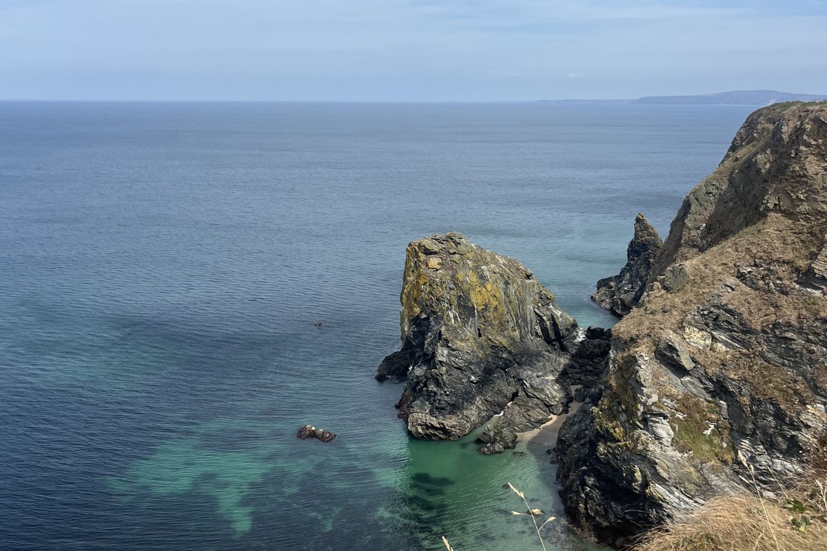 Hidden Cornwall itinerary: Woodland and coastal paths with Tehidy & North Cliffs